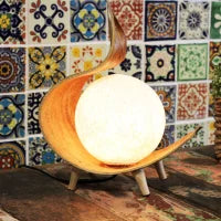 🌿 Lampe Naturelle en Noix de Coco – Artisanat Balinais
