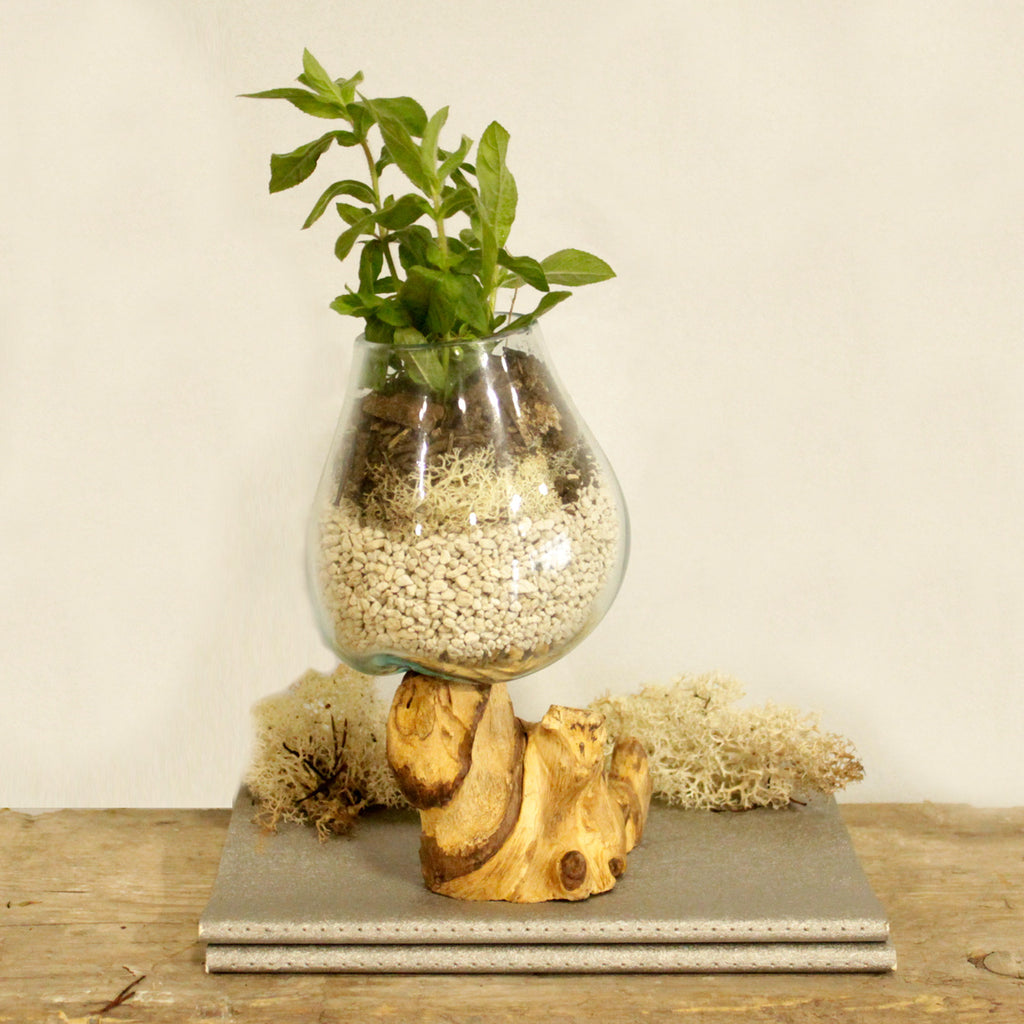 Vase en Verre Soufflé sur Racine - Moyen