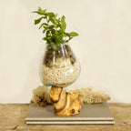 Vase en Verre Soufflé sur Racine - Moyen