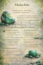 🌿 La Malachite – Pierre de Transformation & d’Harmonie