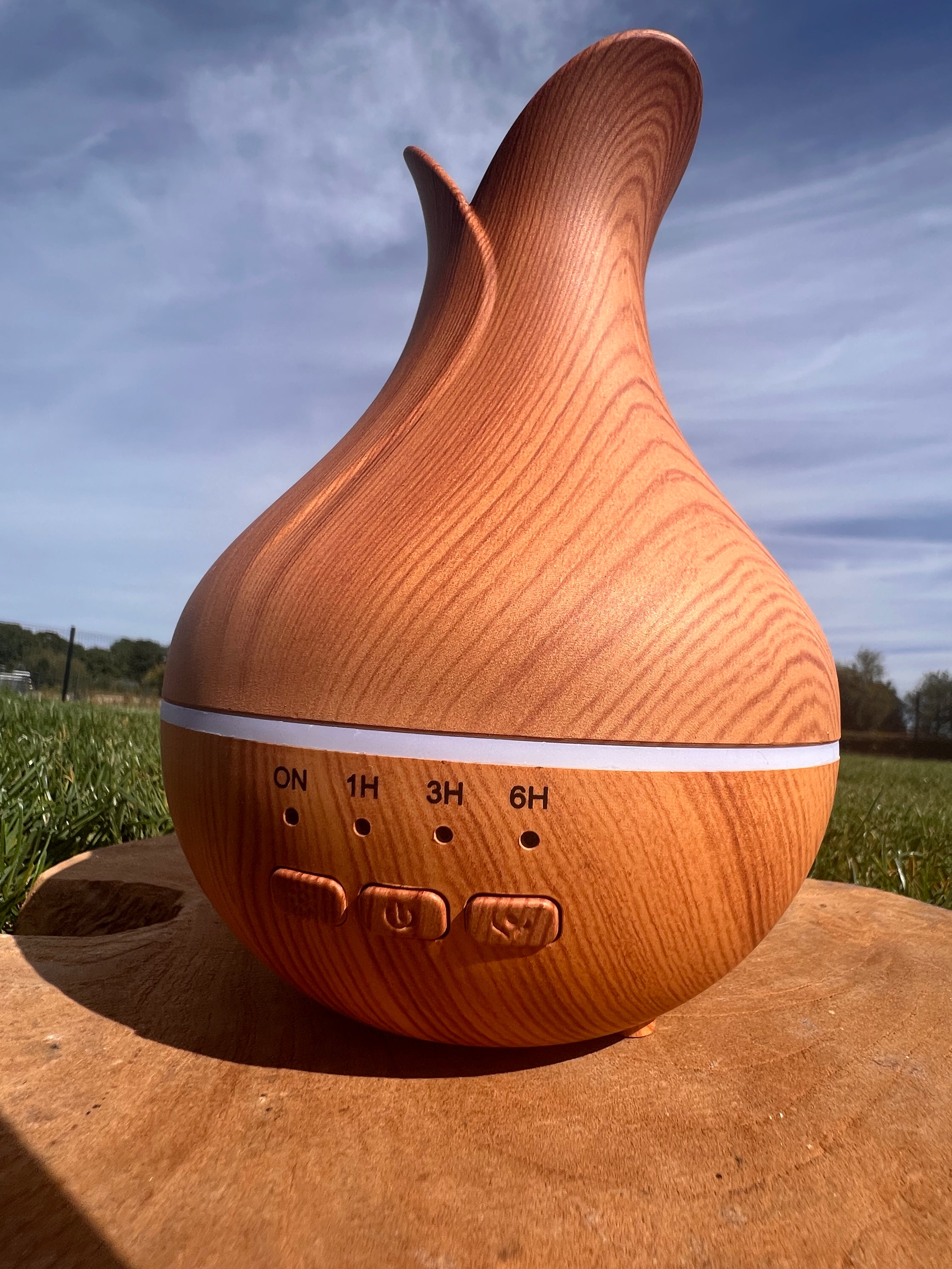 Diffuseur Palerme ✨