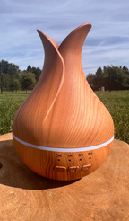 Diffuseur Palerme ✨