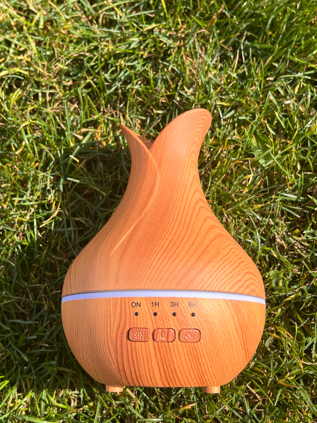 Diffuseur Palerme ✨