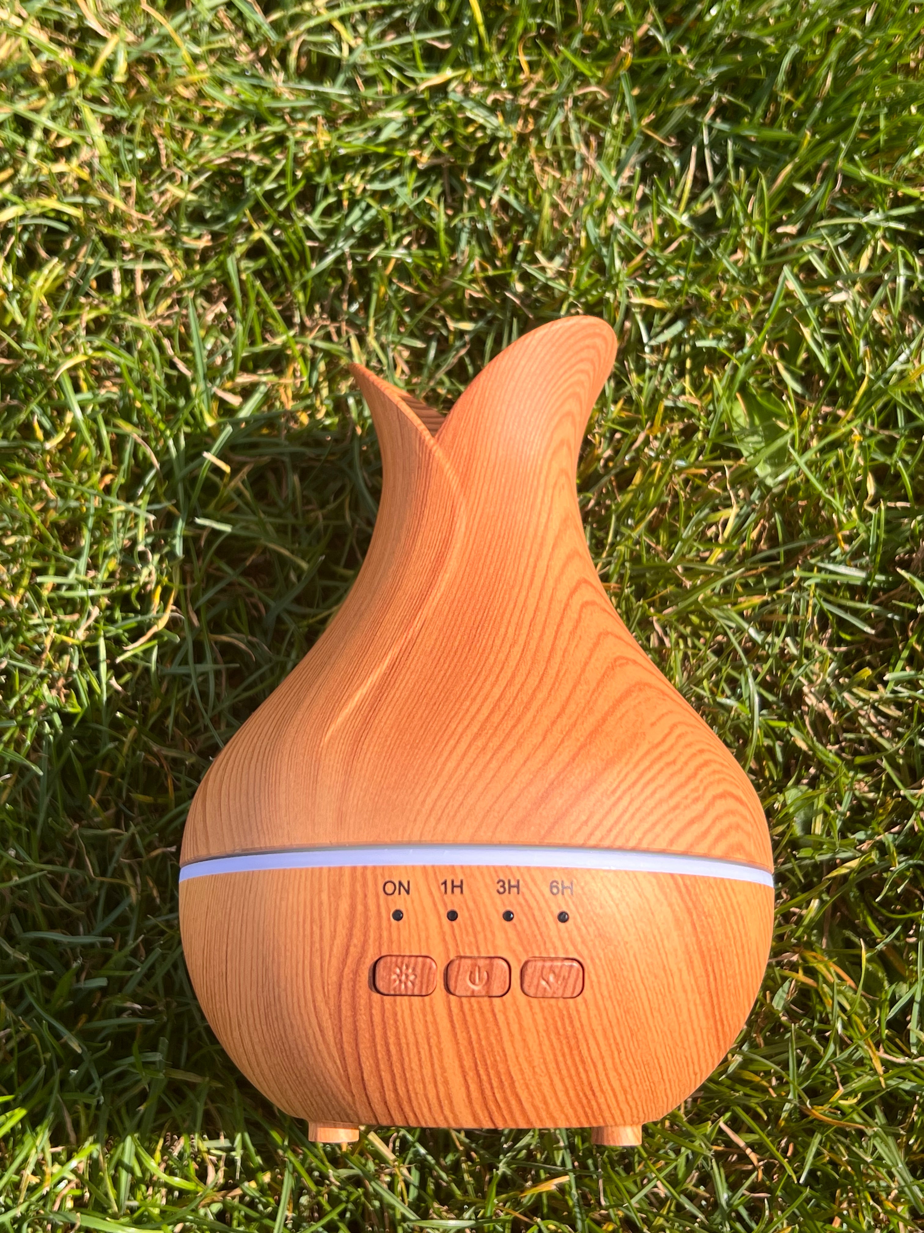 Diffuseur Palerme ✨