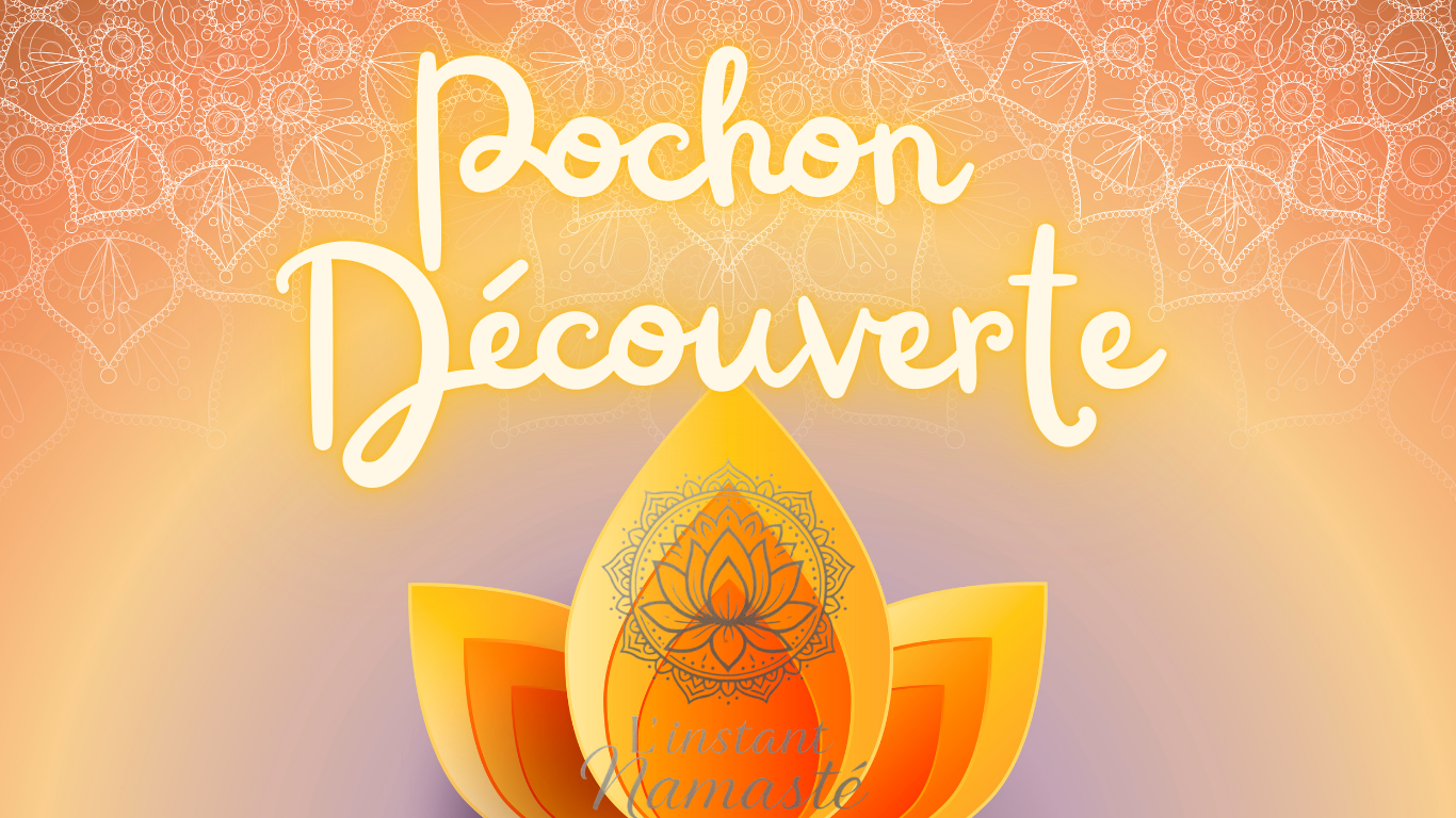 Pochon Découverte – 11 pierres roulées ✨