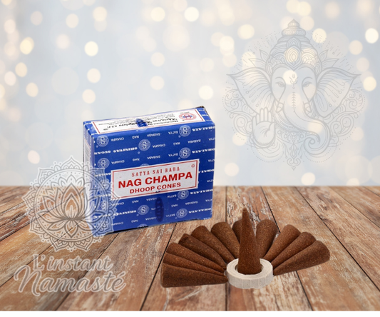 🕉️ Satya Nag Champa – Cônes d’encens 🌿