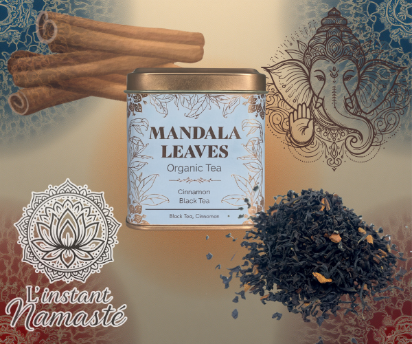 🌞 Thé Noir Bio à la Cannelle – 50 g 🌿