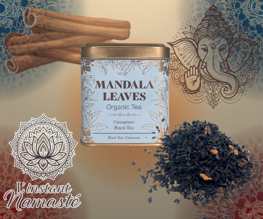 🌞 Thé Noir Bio à la Cannelle – 50 g 🌿