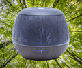 🌲 Diffuseur d’Huiles Essentielles « Forêt Mystérieuse » 🌿