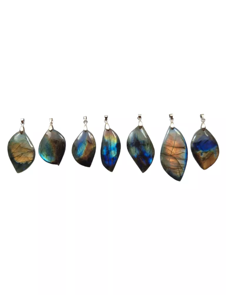 🌙 Pendentif Feuille Labradorite Multicolore A