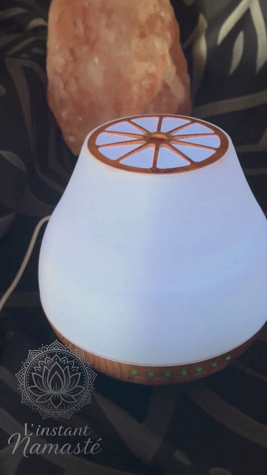 🌿 Diffuseur “Vienne” — Enceinte, Chronomètre, LED & USB ✨